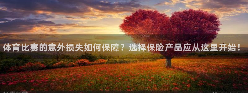体育比赛的意外损失如何保障？选择保险产品应从这里开始！