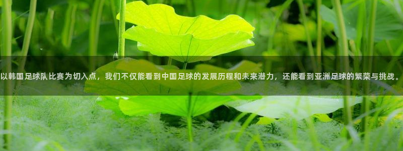 以韩国足球队比赛为切入点，我们不仅能看到中国足球的发展历程和未来潜力，还能看到亚洲足球的繁荣与挑战。
