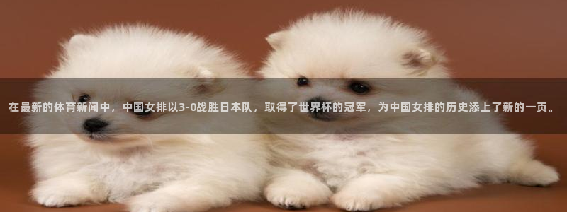 在最新的体育新闻中，中国女排以3-0战胜日本队，取得了世界杯的冠军，为中国女排的历史添上了新的一页。