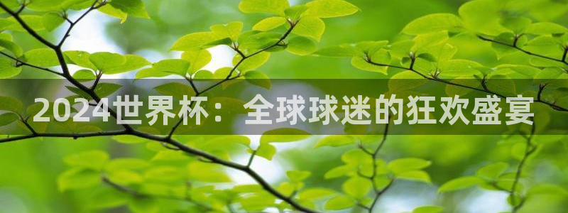 2024世界杯:全球球迷的狂欢盛宴