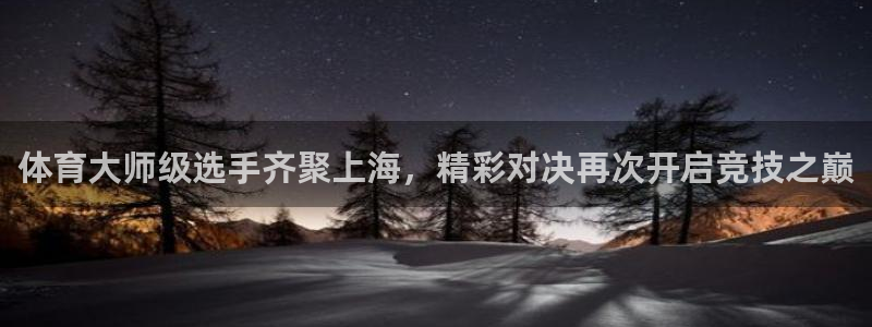 体育大师级选手齐聚上海，精彩对决再次开启竞技之巅