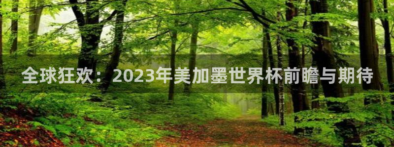 全球狂欢：2023年美加墨世界杯前瞻与期待