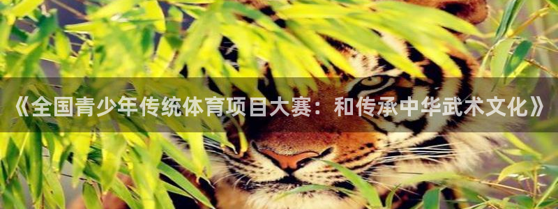 《全国青少年传统体育项目大赛：和传承中华武术文化》