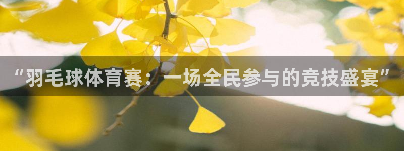 “羽毛球体育赛：一场全民参与的竞技盛宴”