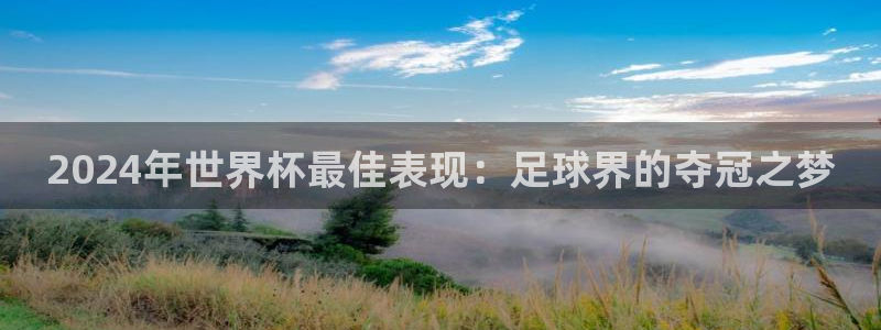 2024年世界杯最佳表现：足球界的夺冠之梦