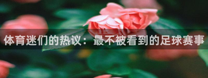 体育迷们的热议：最不被看到的足球赛事