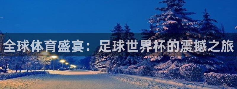 全球体育盛宴：足球世界杯的震撼之旅