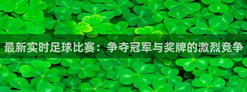最新实时足球比赛：争夺冠军与奖牌的激烈竞争