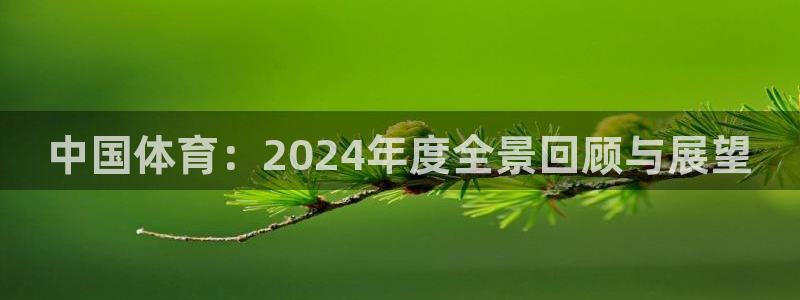 中国体育:2024年度全景回顾与展望