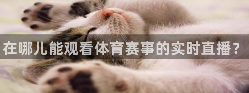 在哪儿能观看体育赛事的实时直播？